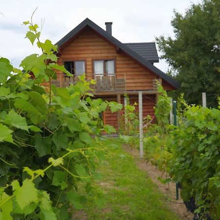 Dom Pachnacy Zywica Villa Bochnia Exterior foto
