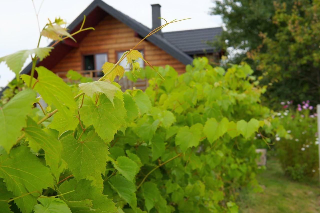 Dom Pachnacy Zywica Villa Bochnia Exterior foto