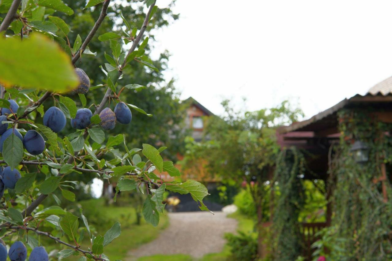 Dom Pachnacy Zywica Villa Bochnia Exterior foto